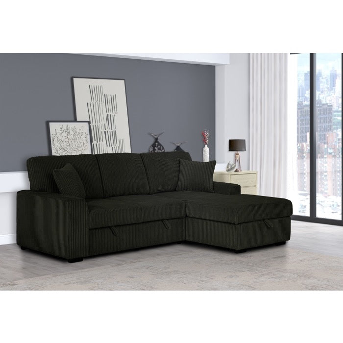 Pull Out Sectional Sofa & Storage