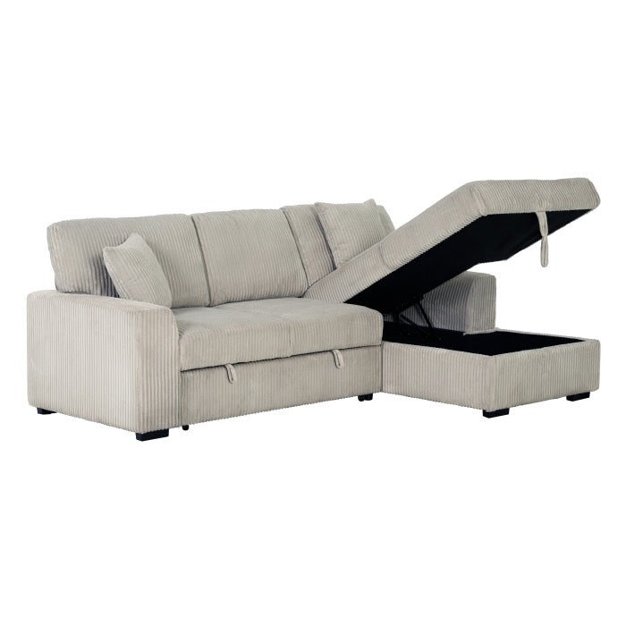 Pull Out Sectional Sofa & Storage